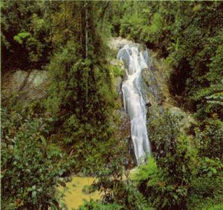 Air Terjun Robinson Official Portal Of Cameron Highlands