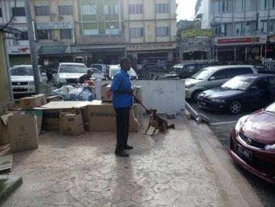 Operasi Anjing Portal Rasmi Majlis Daerah Cameron Highlands Mdch